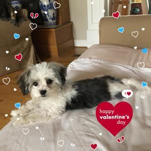 Meet your Posher, Arlene